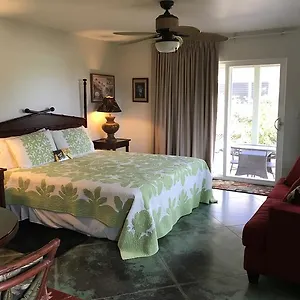 hale-pua-villa-seaside-studio.hotelsinhawaii.org/